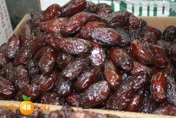 zhra2 tamer 705 (19).JPG